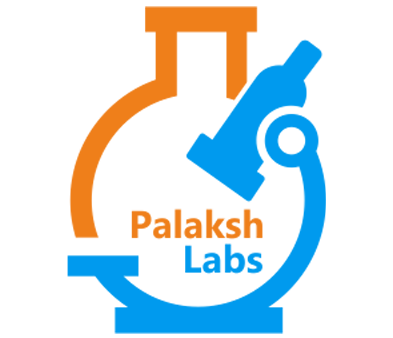 Palaksh Labs site icon